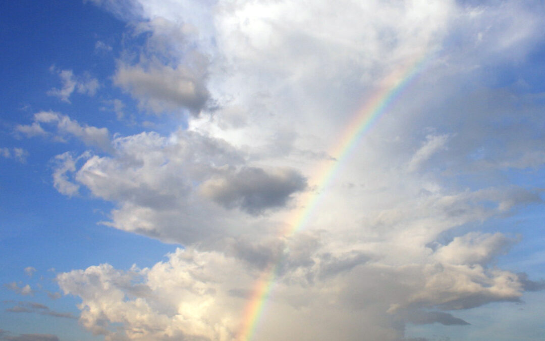 The Rainbow Connection