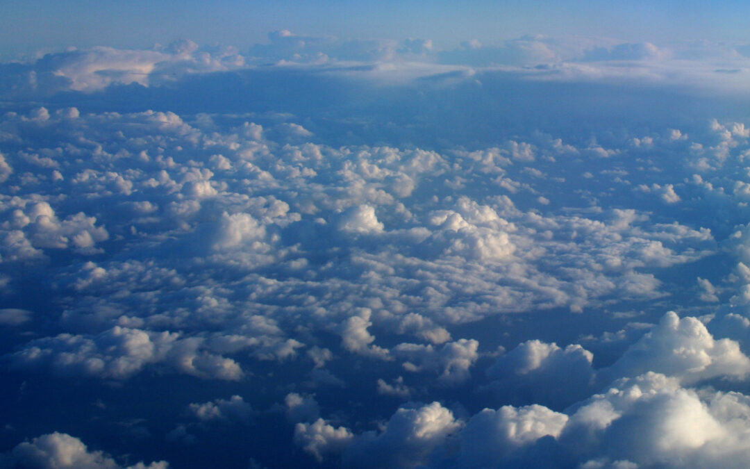 Creation Anxiously Awaits