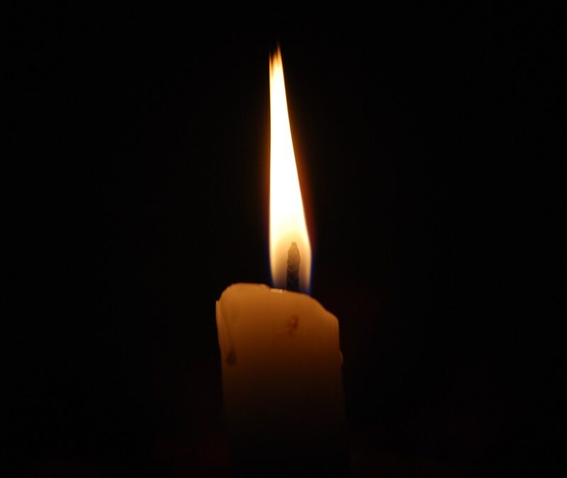 Meditations Monday: Light of the World