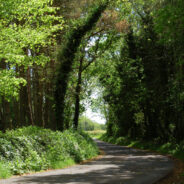 Widening the Connection