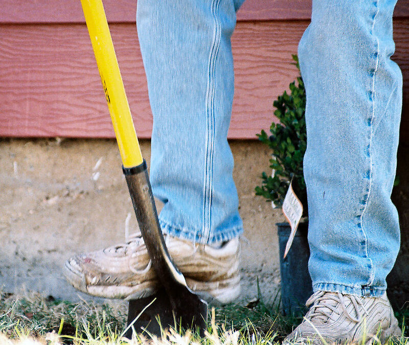 Digging Deeper…