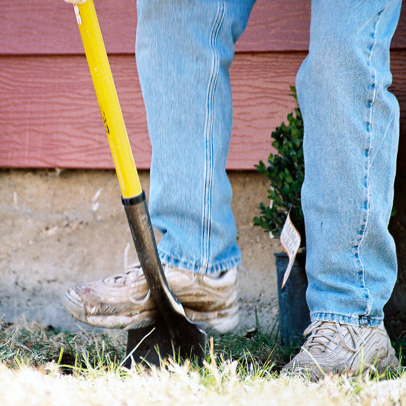 Digging Deeper…