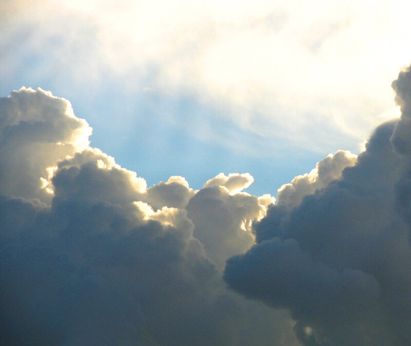 Meditations Mon… Tuesday?