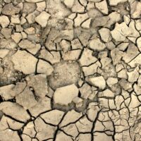 Meditations Monday: The Year of Drought